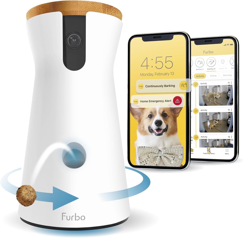 Best Dog Camera