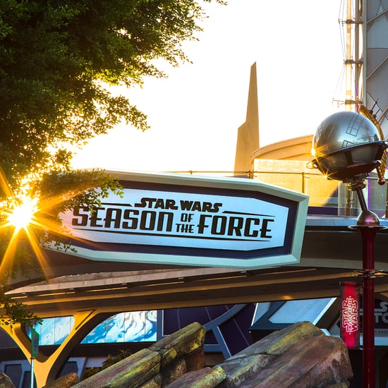 New Disney Park Attractions 2016