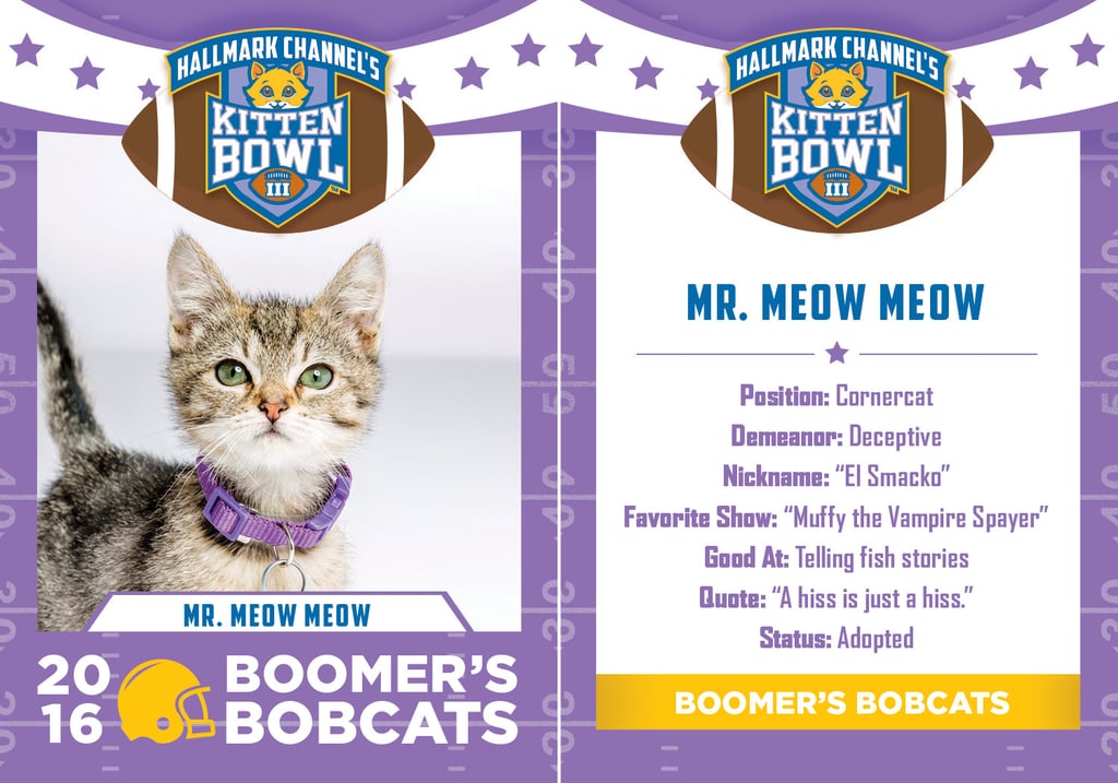 Kitten Bowl 2016