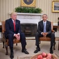 Trump and Obama Couldn't Be More Different — Except For This 1 Trait They Share