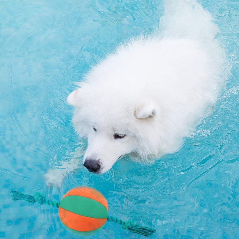 Interactive Squeaky Rope Ball Dog Water Toy