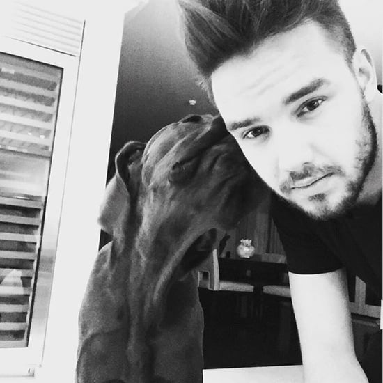Liam Payne's Dog Watson