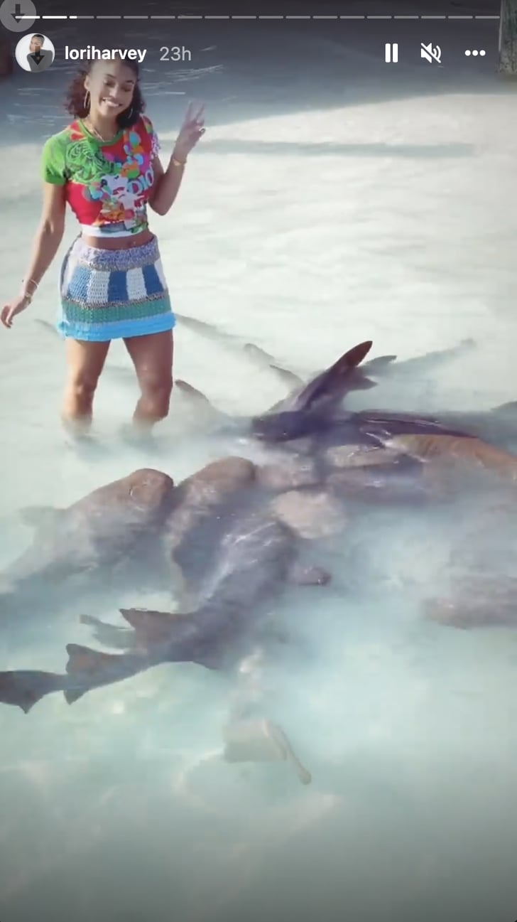Lori Harvey Went Swimming With Sharks 