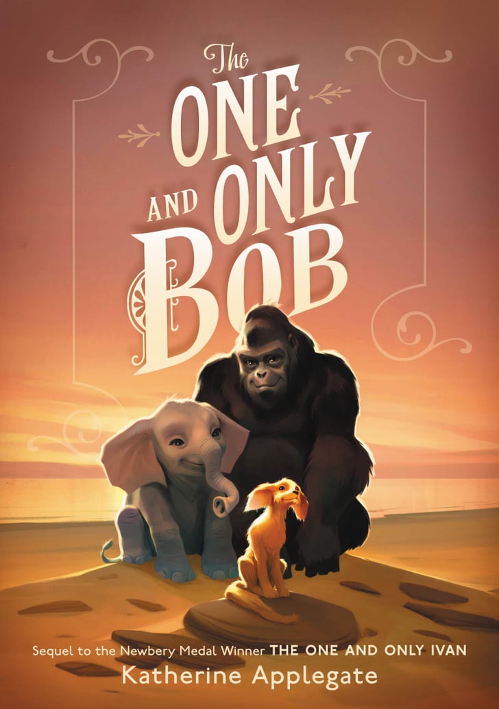 book report on the one and only bob