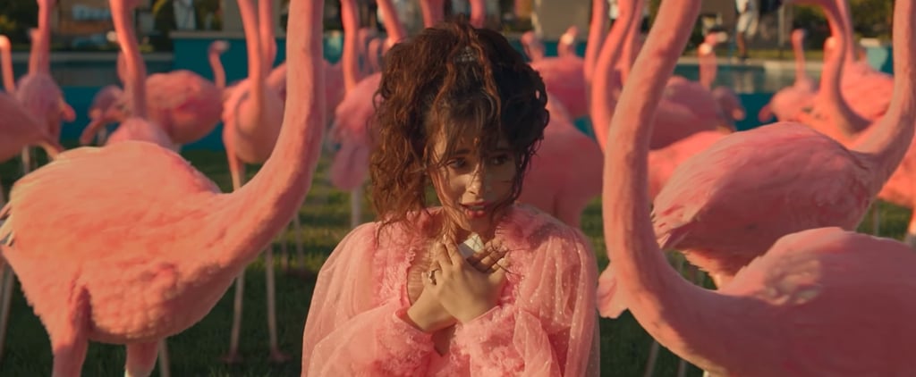 Camila Cabello “Liar” Music Video