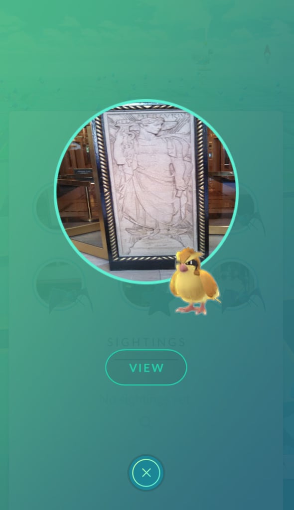 Explore where the Pokémon could be nearby with more clues.
