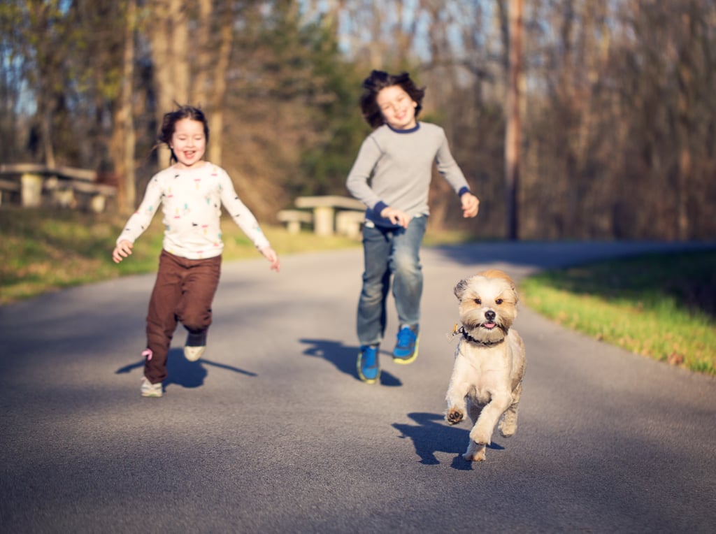 Cute Photos of Kids and Dogs