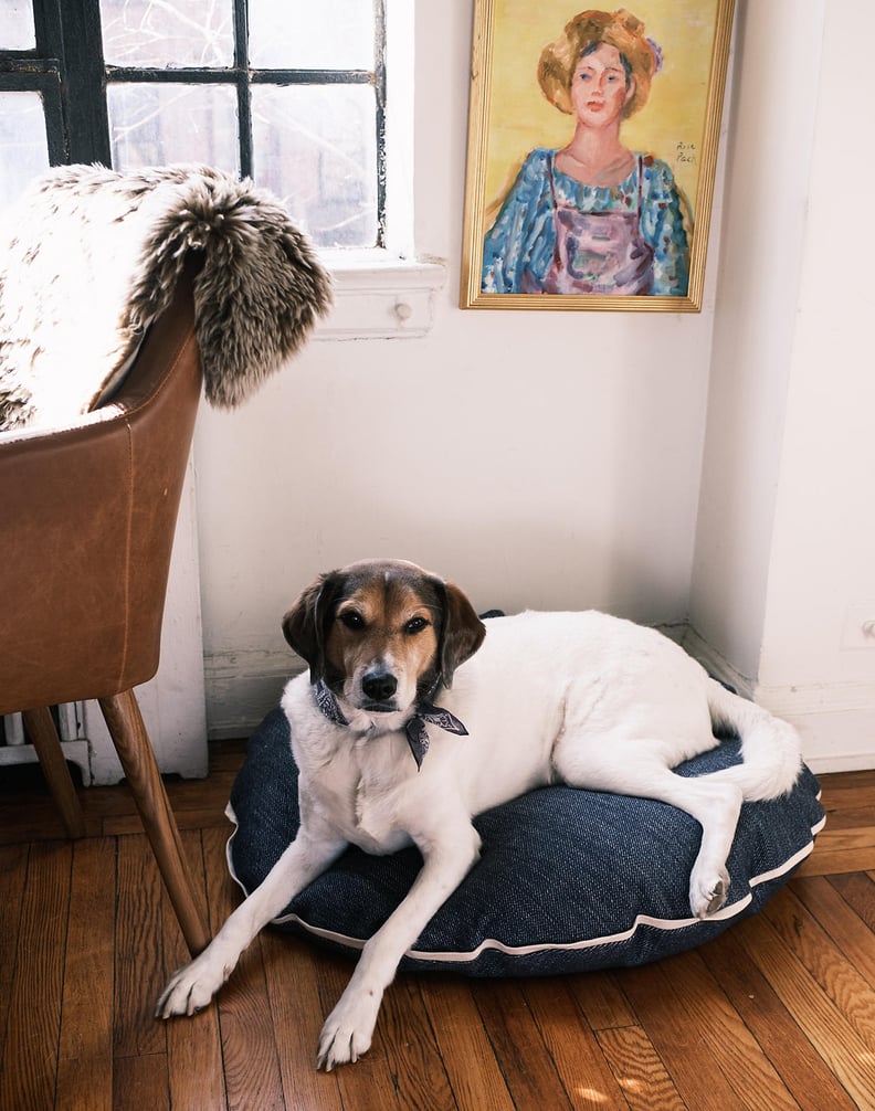 Madewell x Parachute Denim Dog Bed