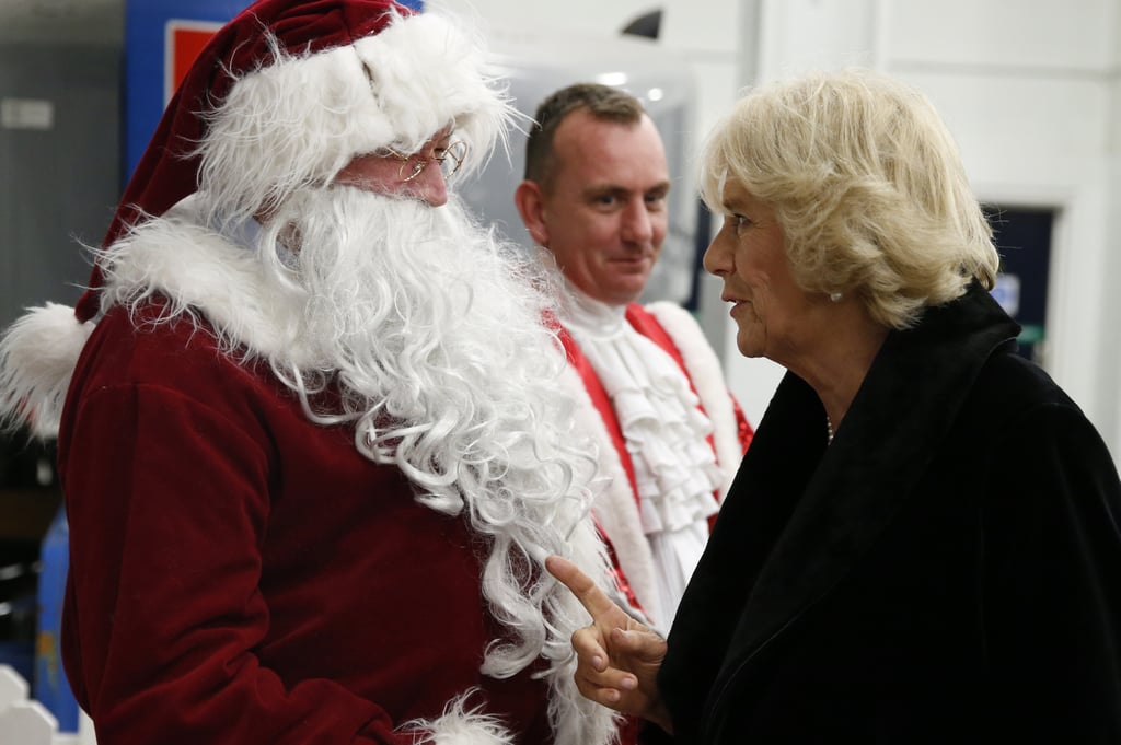 Camilla chatted with a man dressed as Father Christmas while backstage at the Horse of the Year show in 2014.