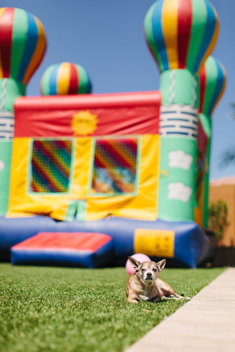 Bounce House