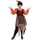 Adult Mary Sanderson Plus Size Costume The Signature Collection