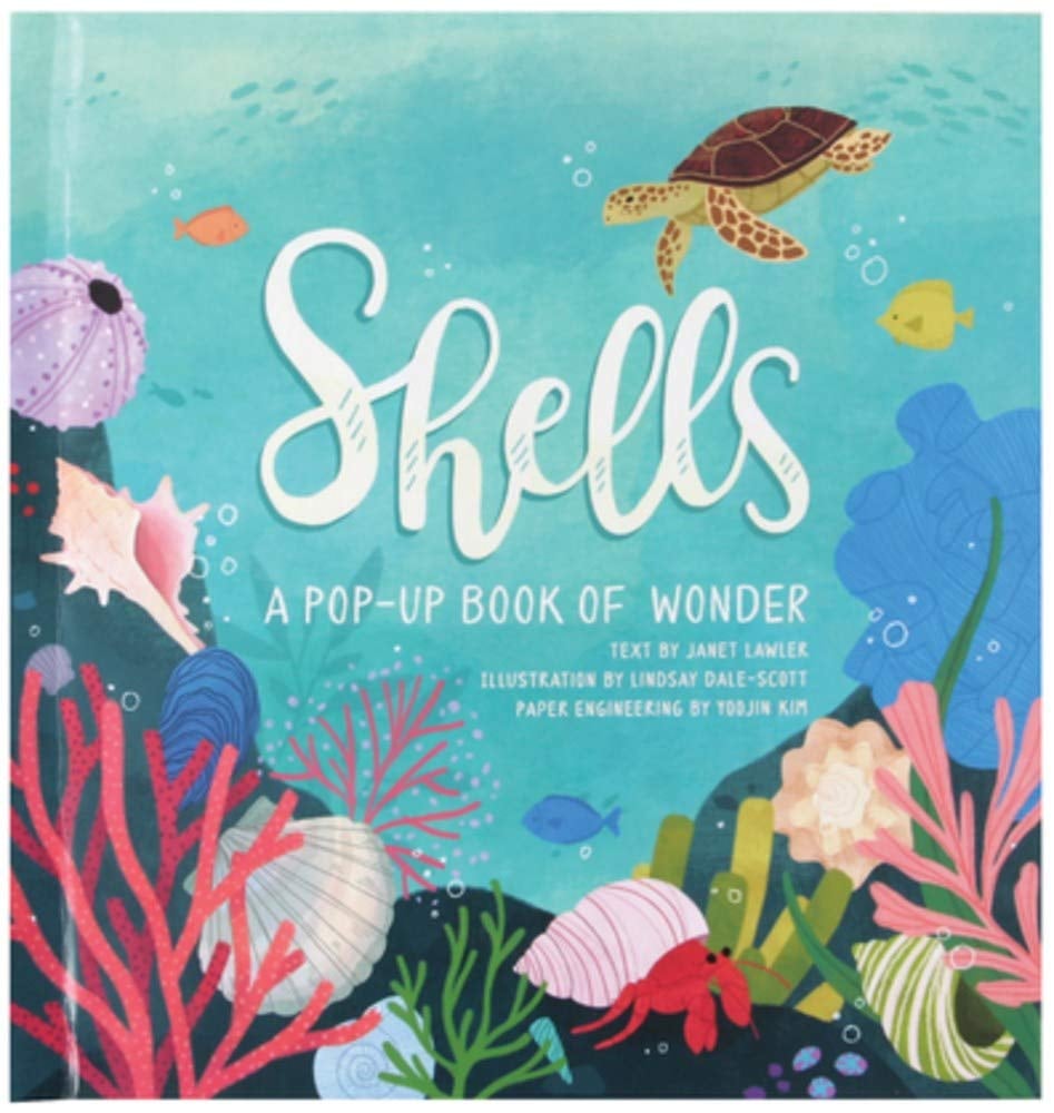 For Ages 3-8: Shells: A Pop-Up Book of Wonder