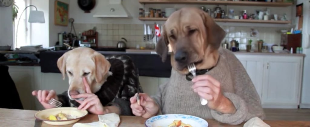 Dogs Eating With Human Hands