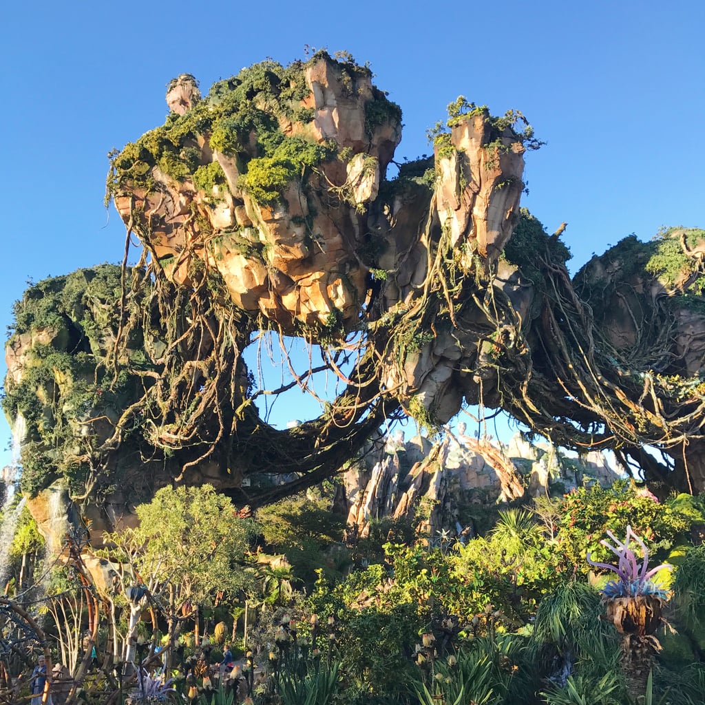The Music In Pandora — The World of Avatar Is All Animals Except in 1 Area