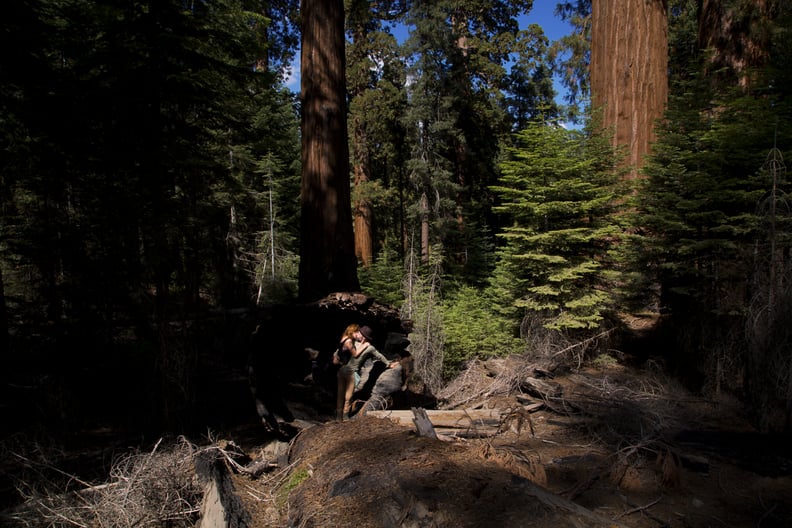 Sequoia National Park