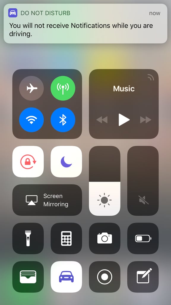 You can even add the "Do Not Disturb While Driving" feature to your control center.