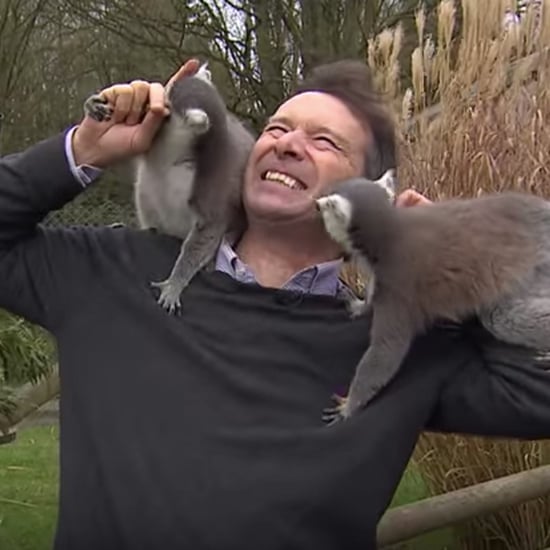 BBC Alex Dunlop With Lemurs