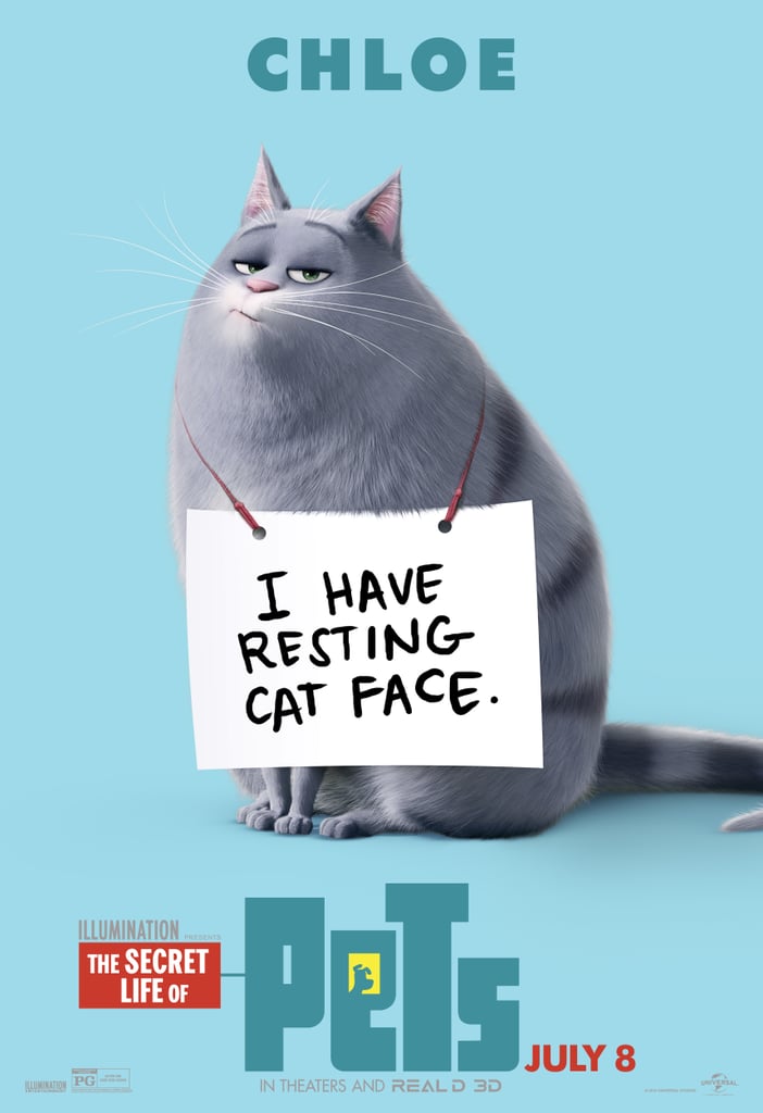 The Secret Life of Pets Character Posters