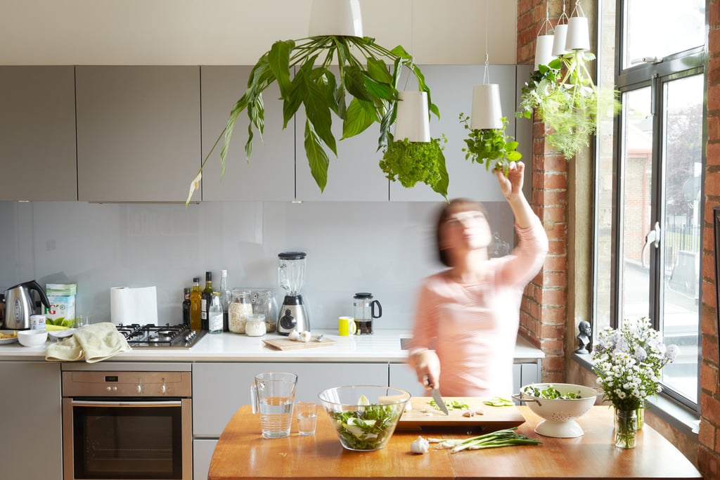 Hanging Garden Hanging Garden