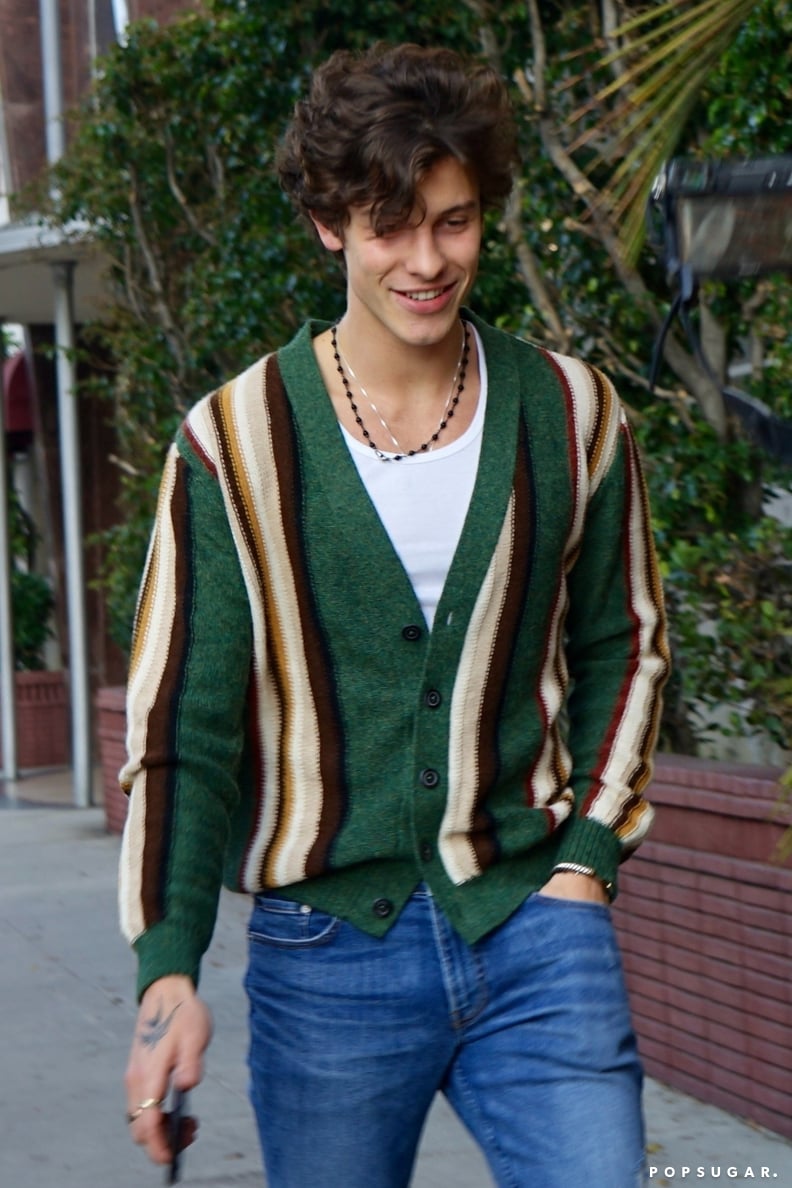 Shawn Mendes Wearing a Green Striped Cardigan in LA