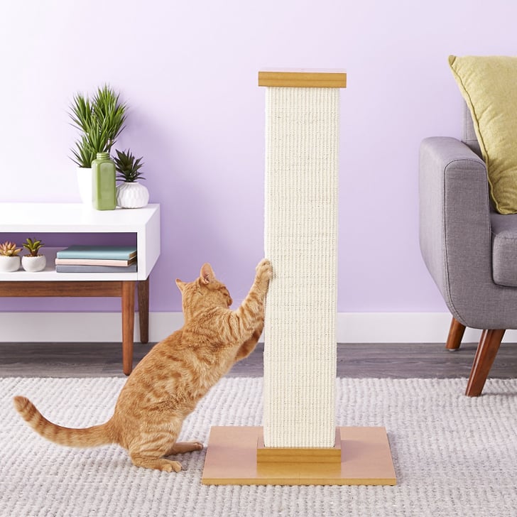 SmartCat The Ultimate 32in Sisal Cat Scratching Post Best Problem