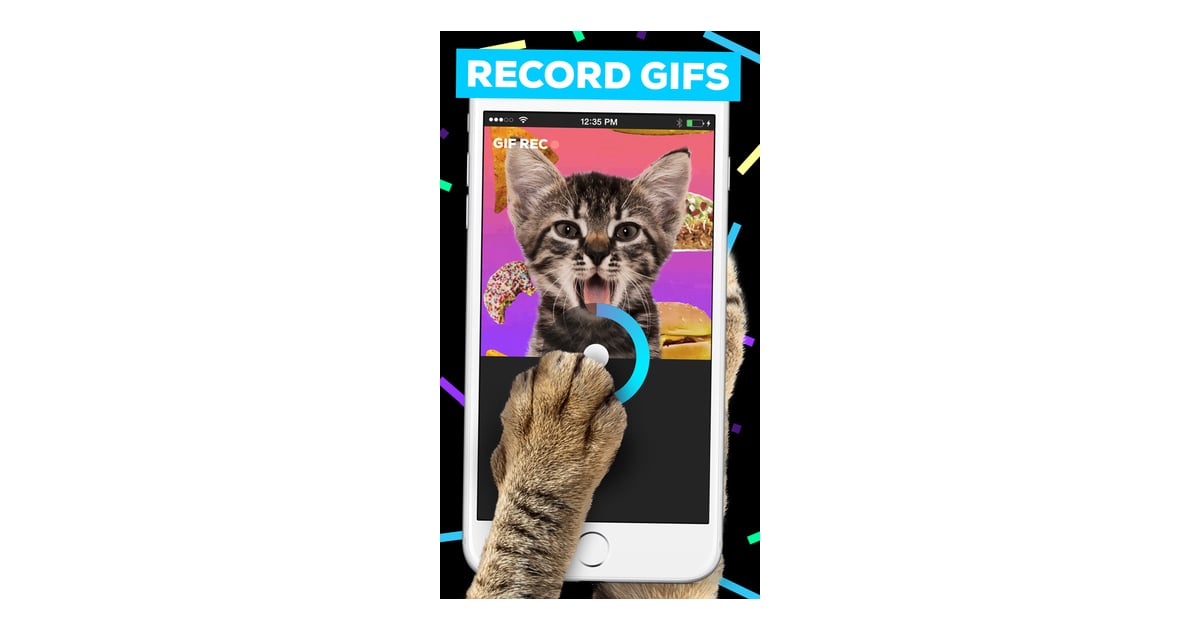 giphy cam app