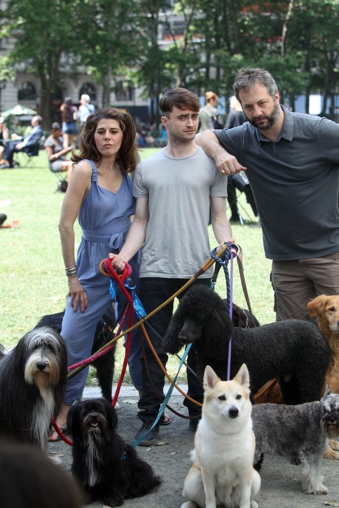 Daniel Radcliffe With Dogs on the Set of Trainwreck