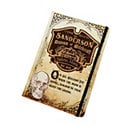 Museum of Witchcraft Journal