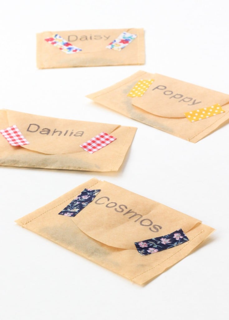 Seed Packets