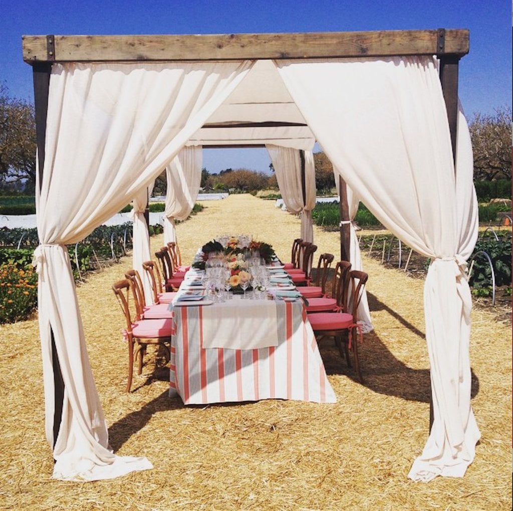 Activities to Do in the Wine Country