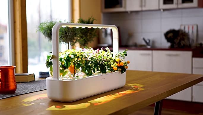 Best Garden Product on Amazon