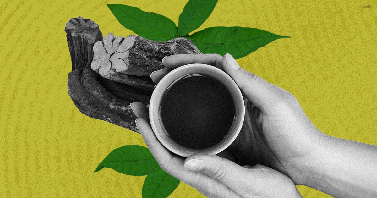 I Went on a 3-Day Ayahuasca Retreat Expecting Transformation — Here's What I Got Instead