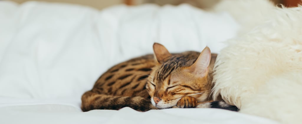 8 Sleep Hacks That Will Put You Right to Bed