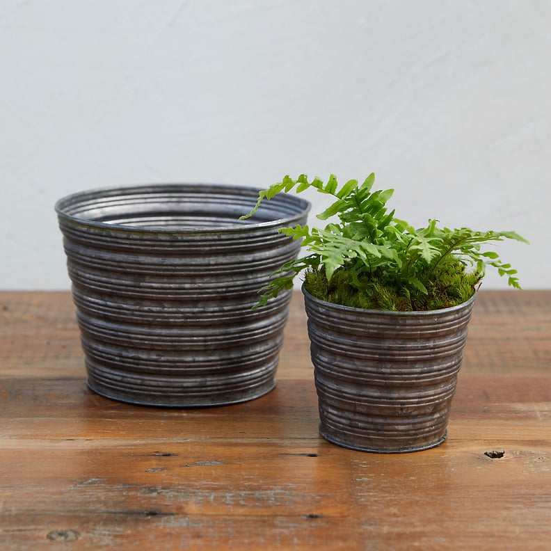 Little Stripes Pot