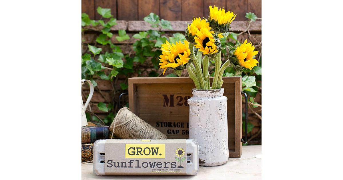 Sunflower Garden Grow Kit Best Gifts For Women From Goods POPSUGAR Smart Living