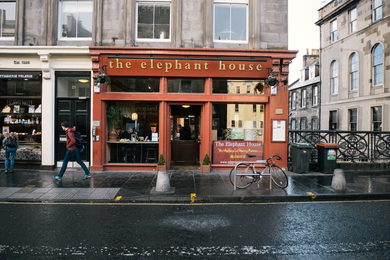 See the Elephant House Cafe