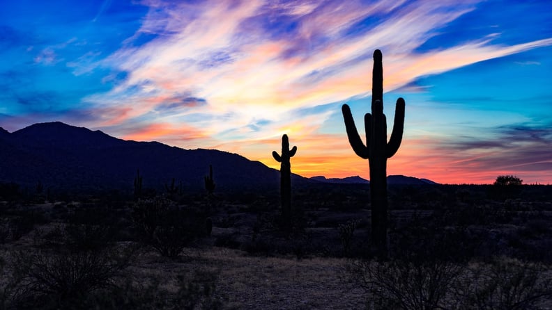 Phoenix and Tucson, AZ, to Madison, WI — Away We Go