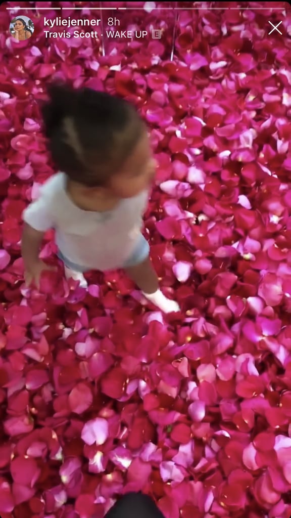 Travis Scott Covers Kylie Jenner's House in Rose Petals 2019
