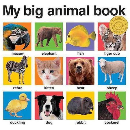 My Big Animal Book