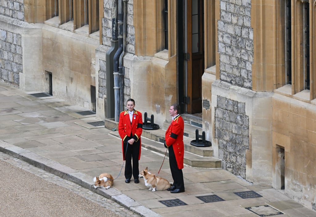 Queen Elizabeth II's Corgis Attend Her Funeral