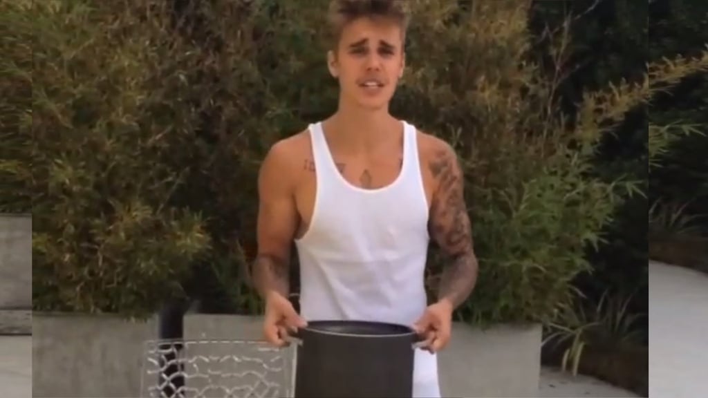 Celebrities Accept the Ice Bucket Challenge Video POPSUGAR