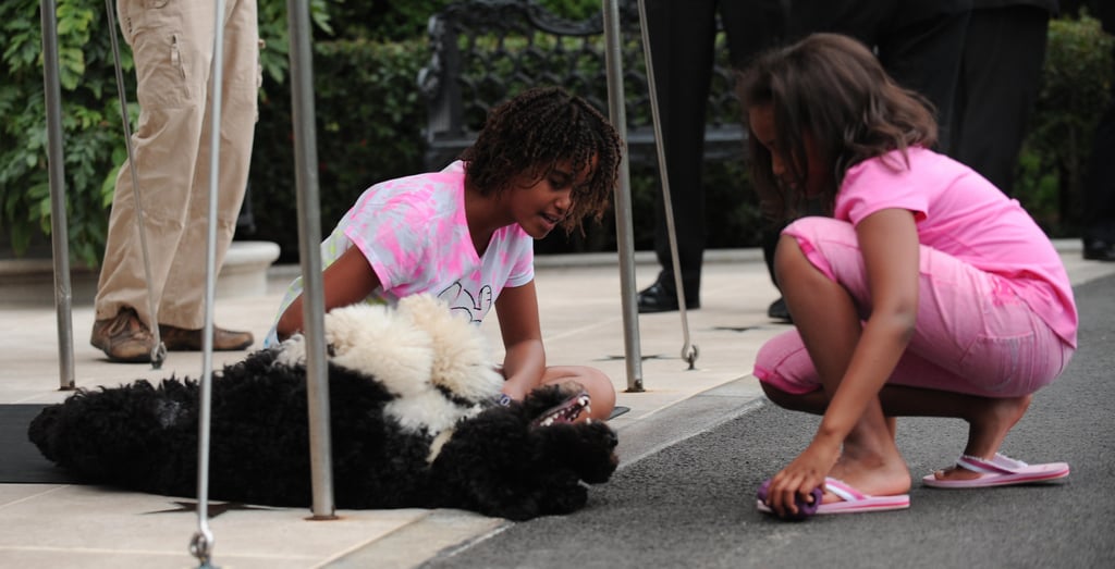 So spoiled! Bo got all of the attention while Sasha and Malia waited for their dad's return to the White House in 2009.