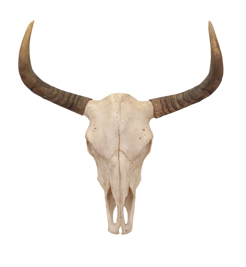 Fabulous Bull Skull Wall Decor