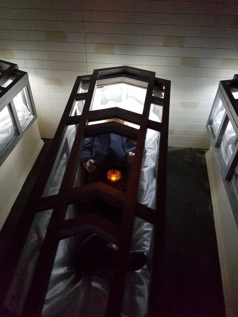 Although not necessarily scary, there's a room filled with the coffins of the Countess's sleeping vampire children, and it's beyond creepy.