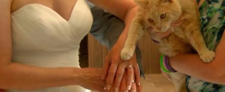 Couple Weds at The Cat House on the Kings