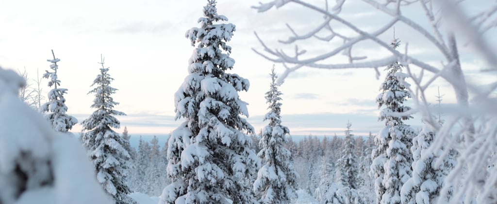 The 10 Best Arctic Adventure Vacations