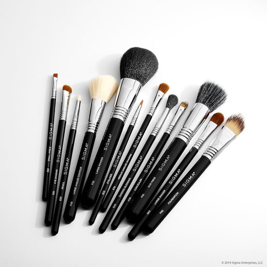 Best Sigma Makeup Brushes