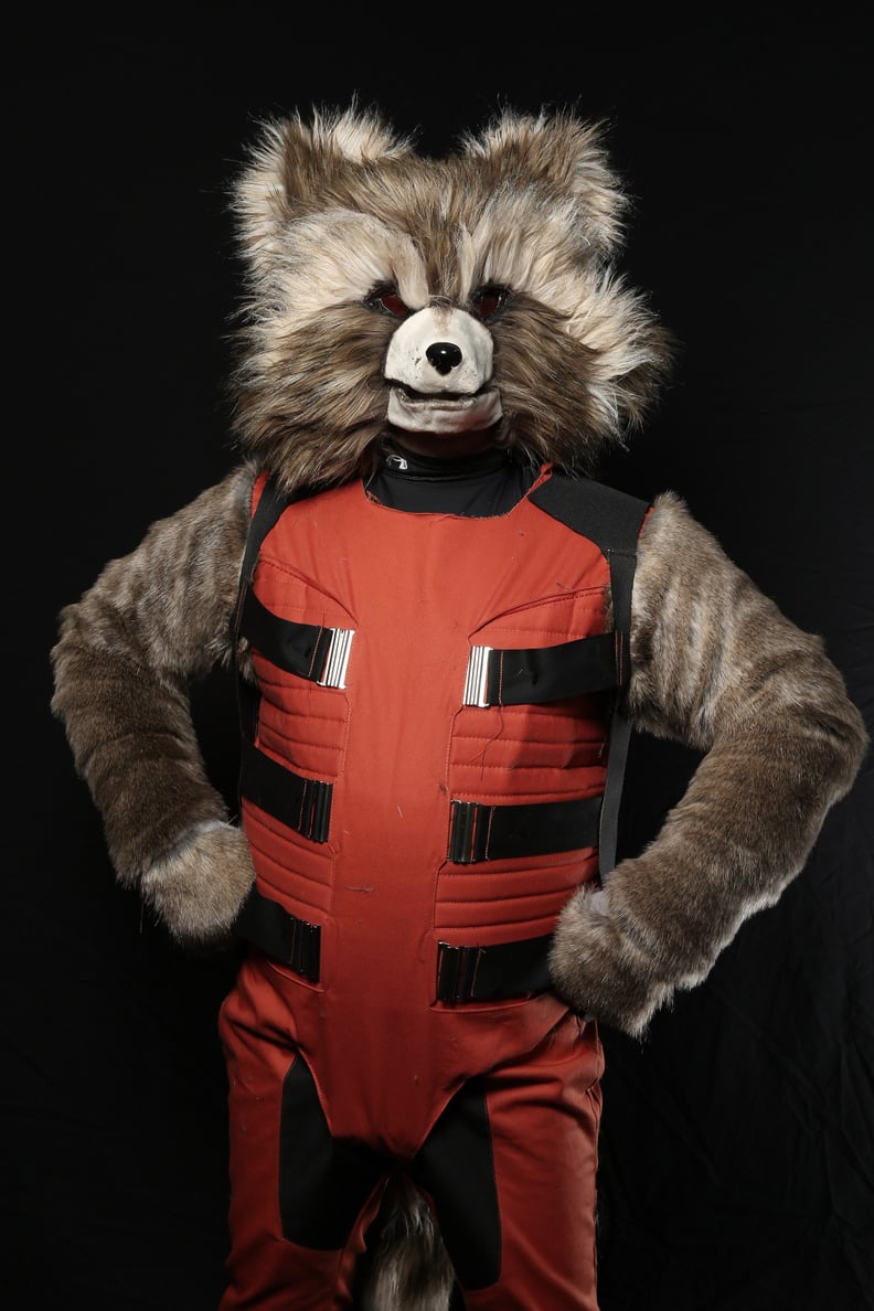 Rocket Raccoon