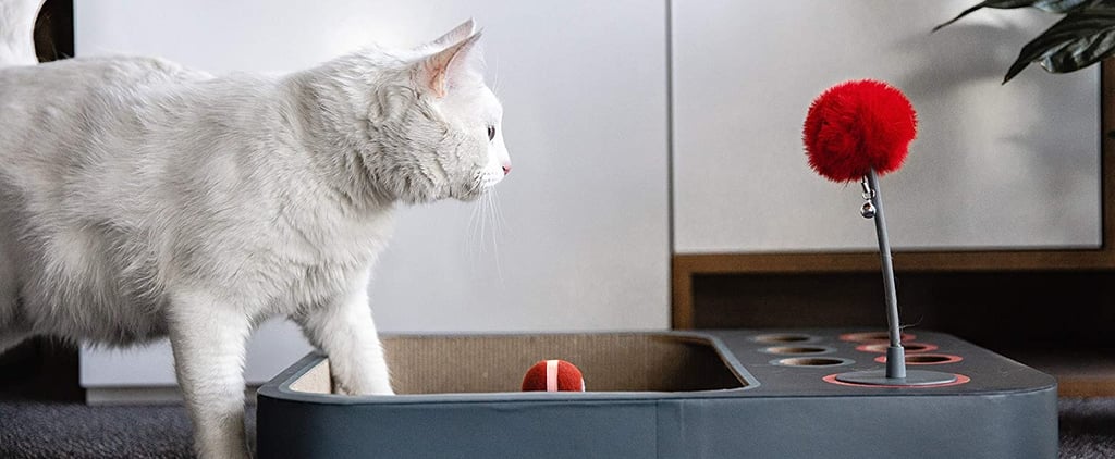 Best Pets Products on Amazon Launchpad