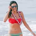 Bikini Bod Alert! Nina Dobrev's Toned Abs Are on Full Display During a Trip to Hawaii